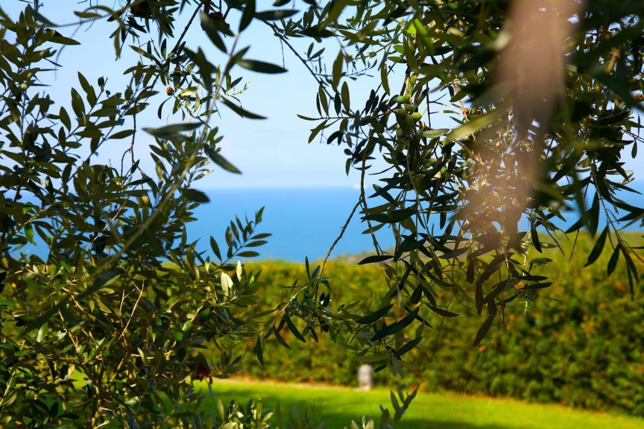 Casale Del Mare Villa Castiglioncello Exteriör bild