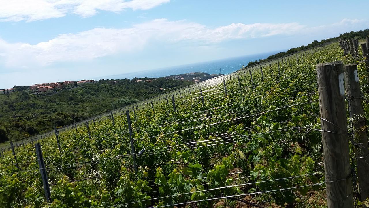 Casale Del Mare Villa Castiglioncello Exteriör bild